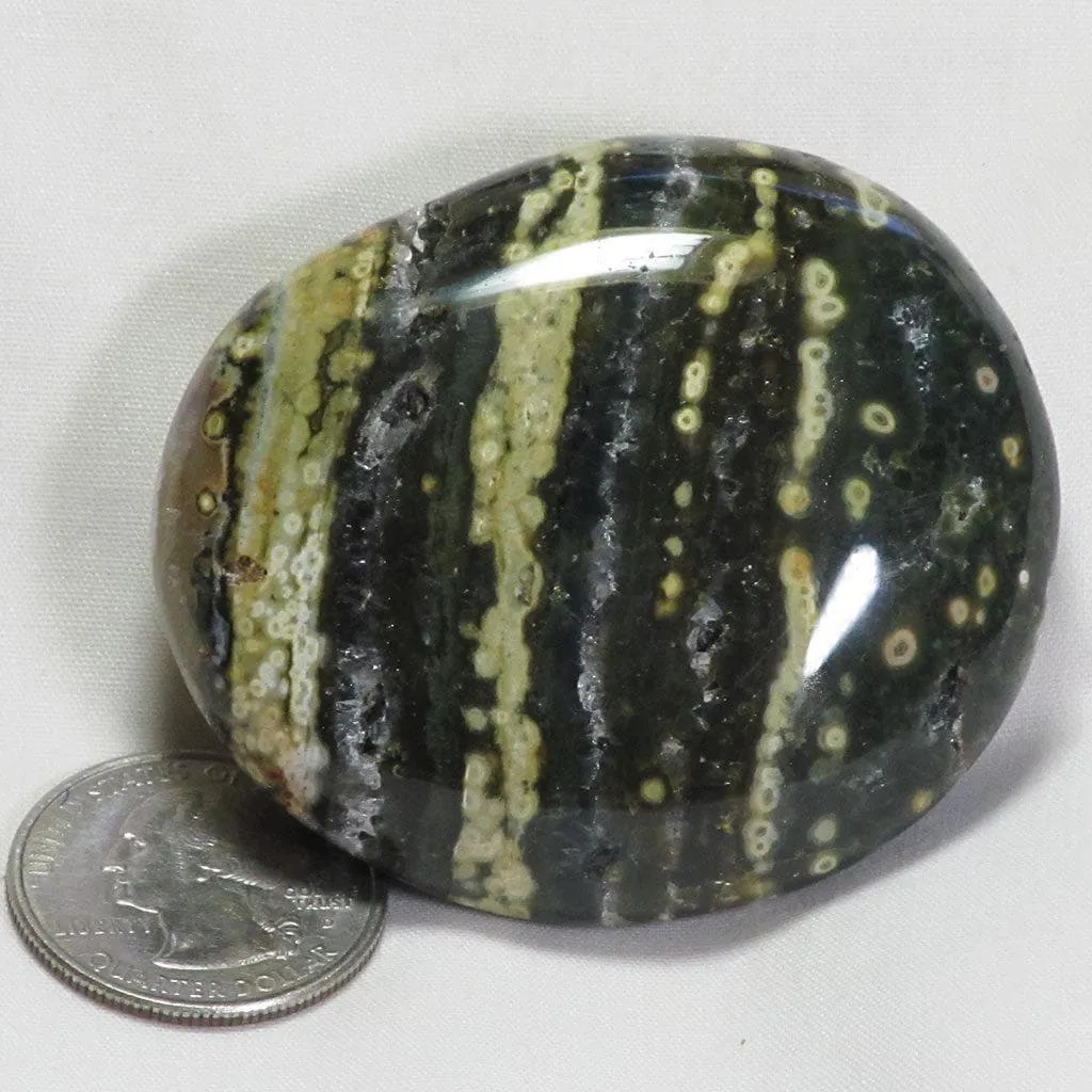 n3145
